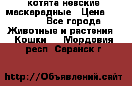 котята невские маскарадные › Цена ­ 18 000 - Все города Животные и растения » Кошки   . Мордовия респ.,Саранск г.